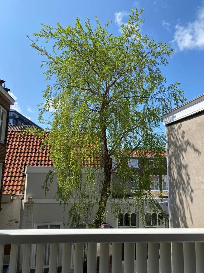 The Sunny - R.q.c. The Hague